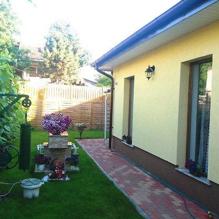 Casuta Bunicilor Villa Boekarest Buitenkant foto