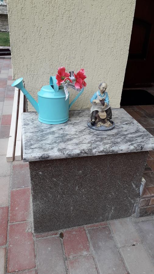 Casuta Bunicilor Villa Boekarest Buitenkant foto